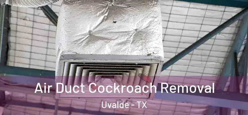  Air Duct Cockroach Removal Uvalde - TX