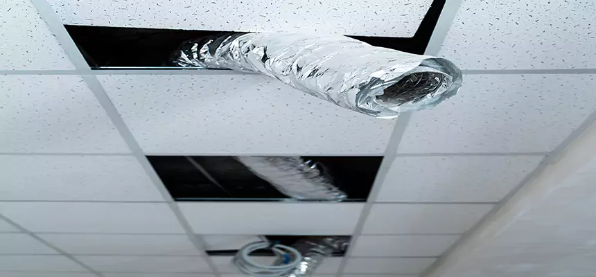 Our Air Duct Pet Hair Removal Services in Uvalde, TX