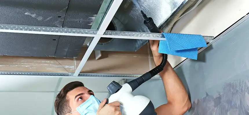 Our Air Duct Rodent Removal Services in Uvalde, TX