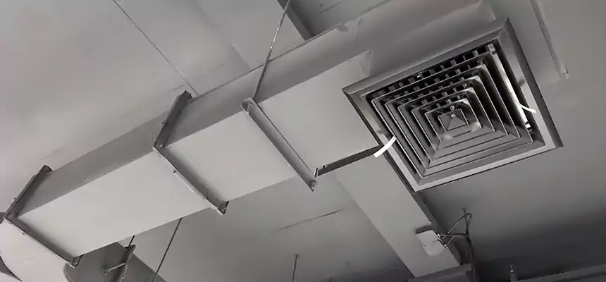 Restorative Allergy Relief Vent Cleaning – Coil, Blower & Housing Detail in Uvalde