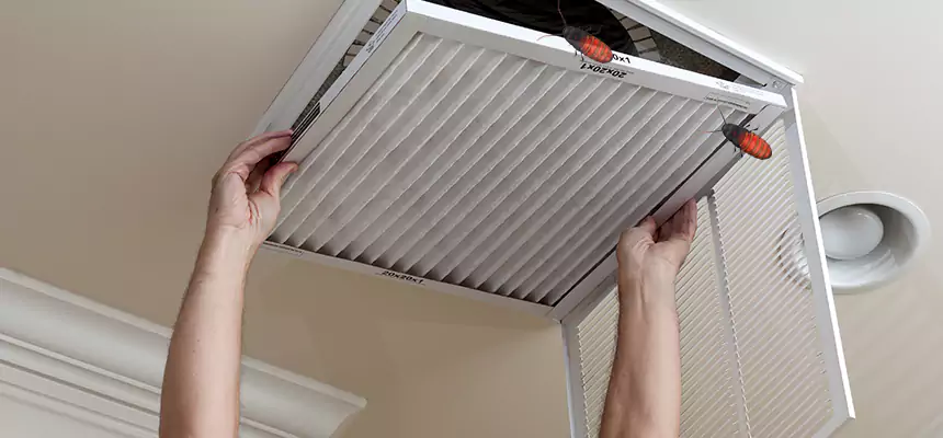 Our Insect Removal from Air Ducts Services in Uvalde, TX