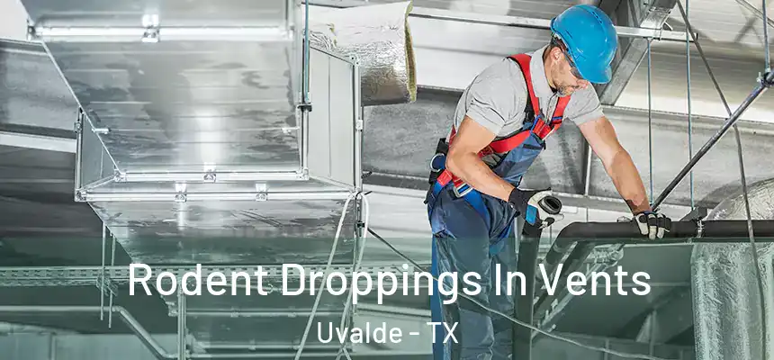  Rodent Droppings In Vents Uvalde - TX