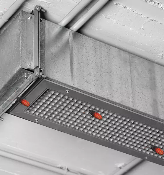 Affordable Insect Removal from Air Ducts in Uvalde, TX