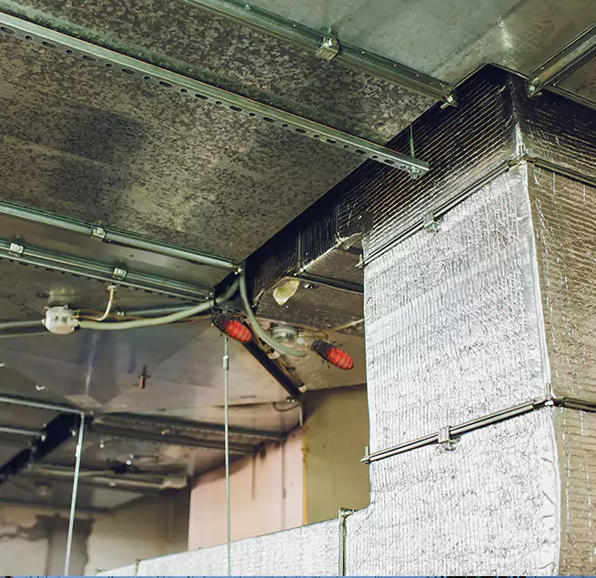 Why Homeowners & Businesses Trust Us in Uvalde, TX?